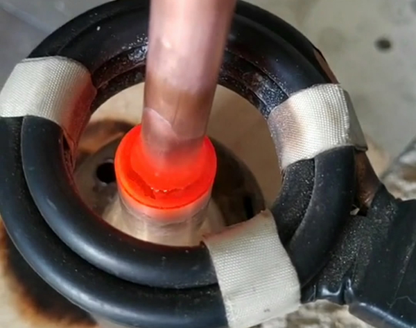 ���~�S�~�Ӻ��ø��l���C