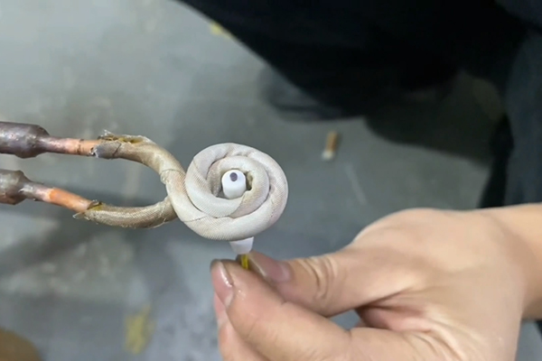 �����l�����O�����ֳ�ʽ�����l���C��ͨ�ž����Ӵ��