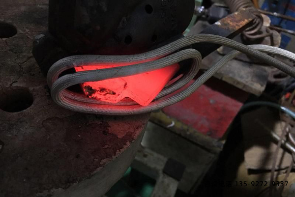 ����̎�����g